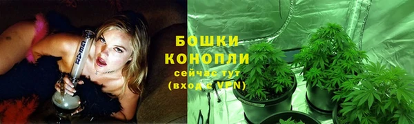 гашик Арсеньев