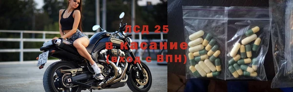 молекула духа Аркадак
