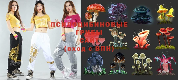 гашик Арсеньев