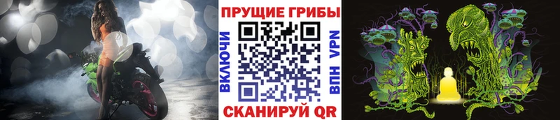 Галлюциногенные грибы прущие грибы  Райчихинск 